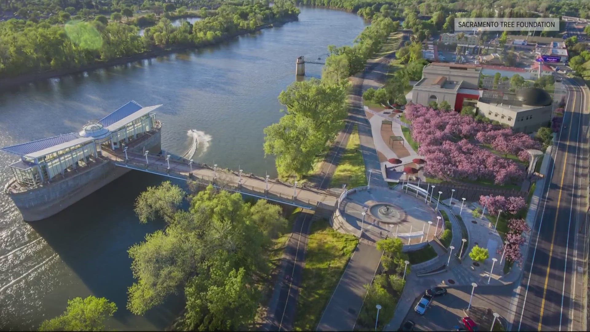 Sacramento Cherry Blossom Park is expected to open in the summer