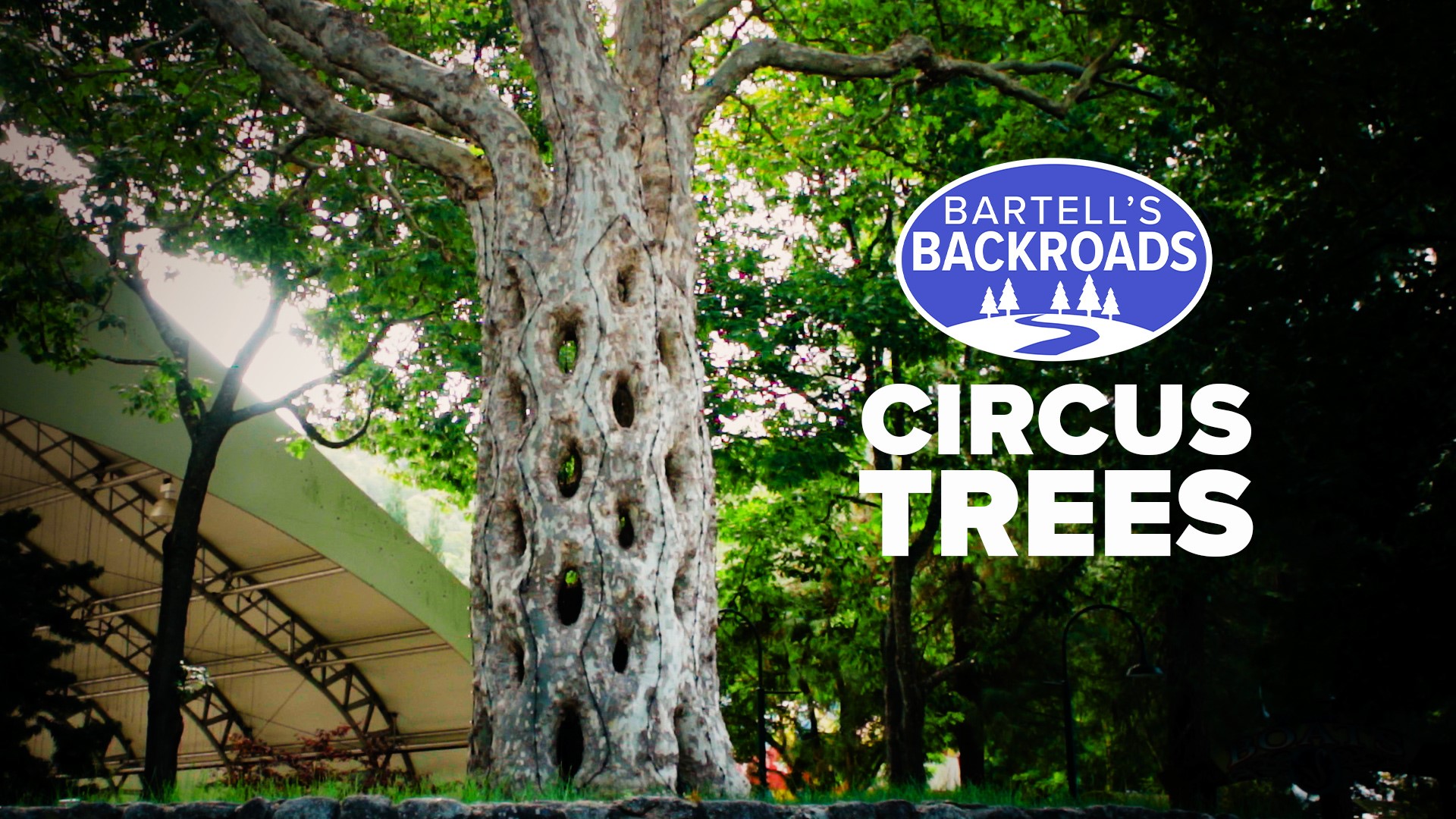 Circus Trees At Gilroy Gardens Theme