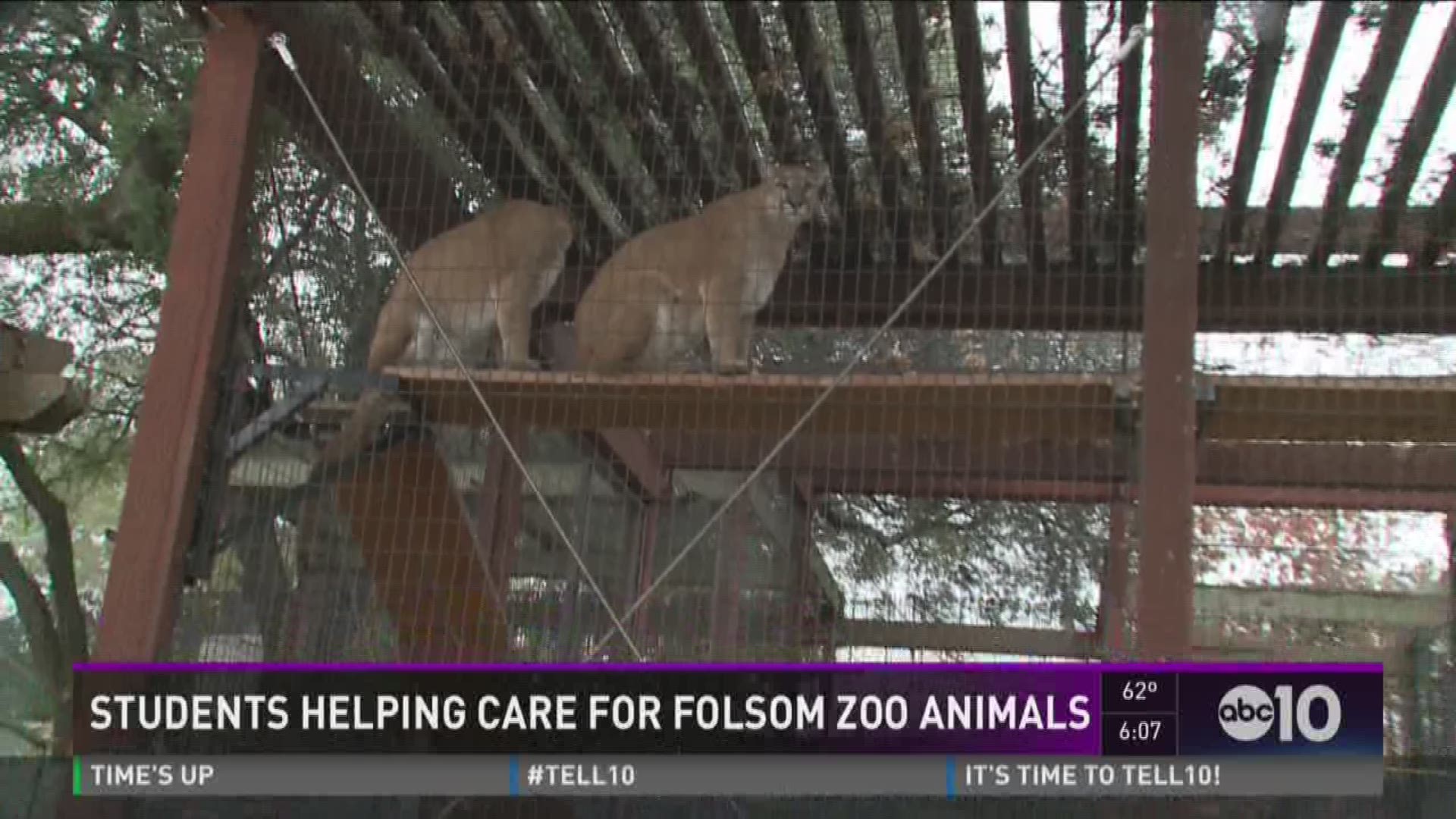 Students helping care for Folsom Zoo animals