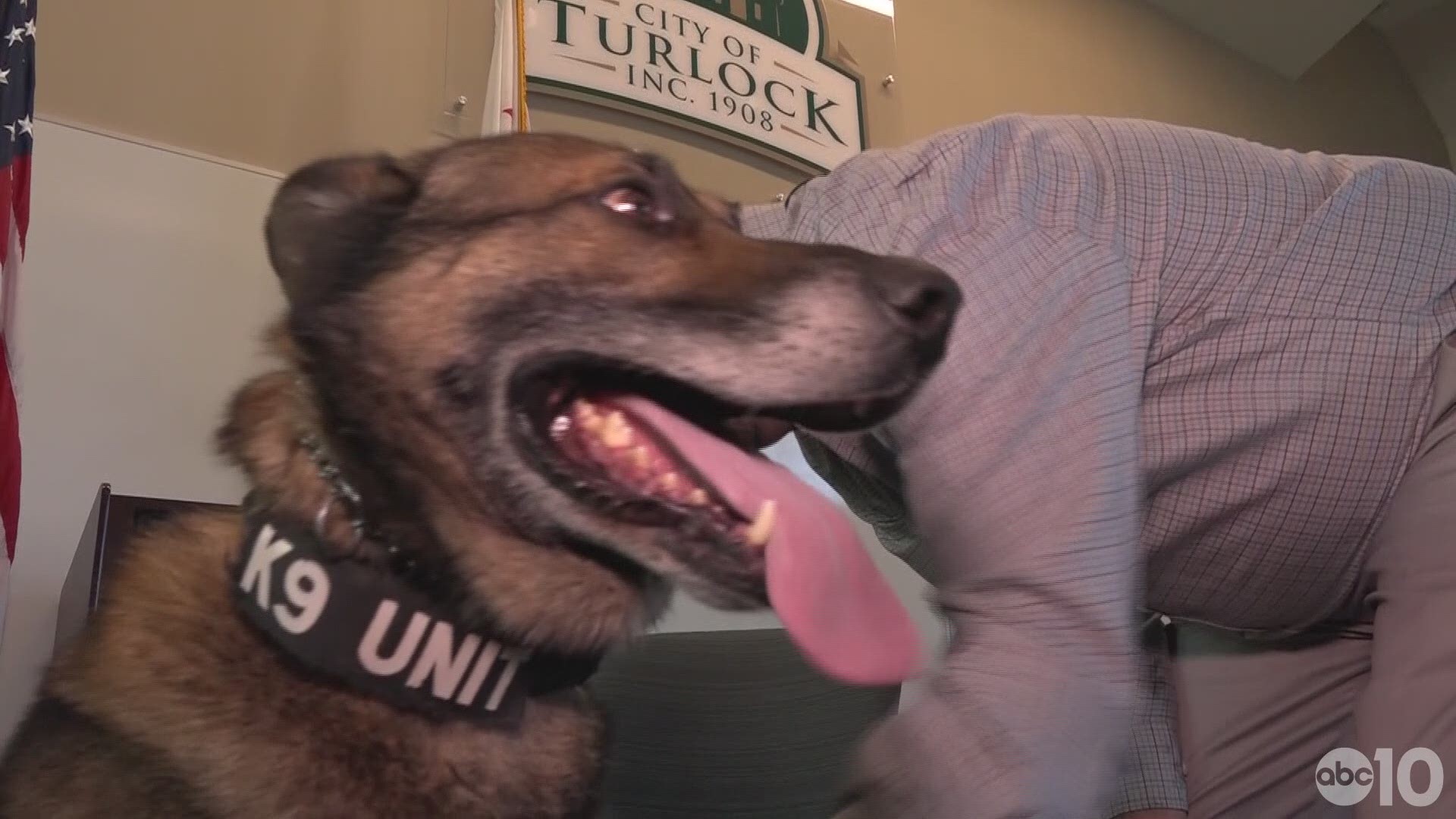 About a month ago, officers discovered a lump under K9 Varick's mouth, so they took him in for a biopsy. They later learned it was a form of cancer on which vets couldn't operate.
