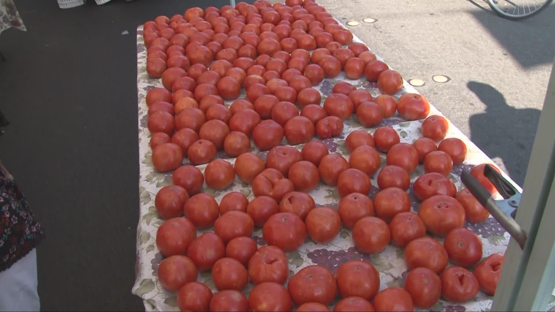 Tomatoes and tomato based items could be in short supply in the coming months because of the worsening drought and water restrictions in California.