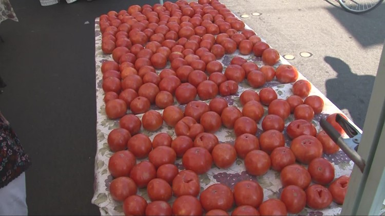 California could see a tomato shortage in the coming months