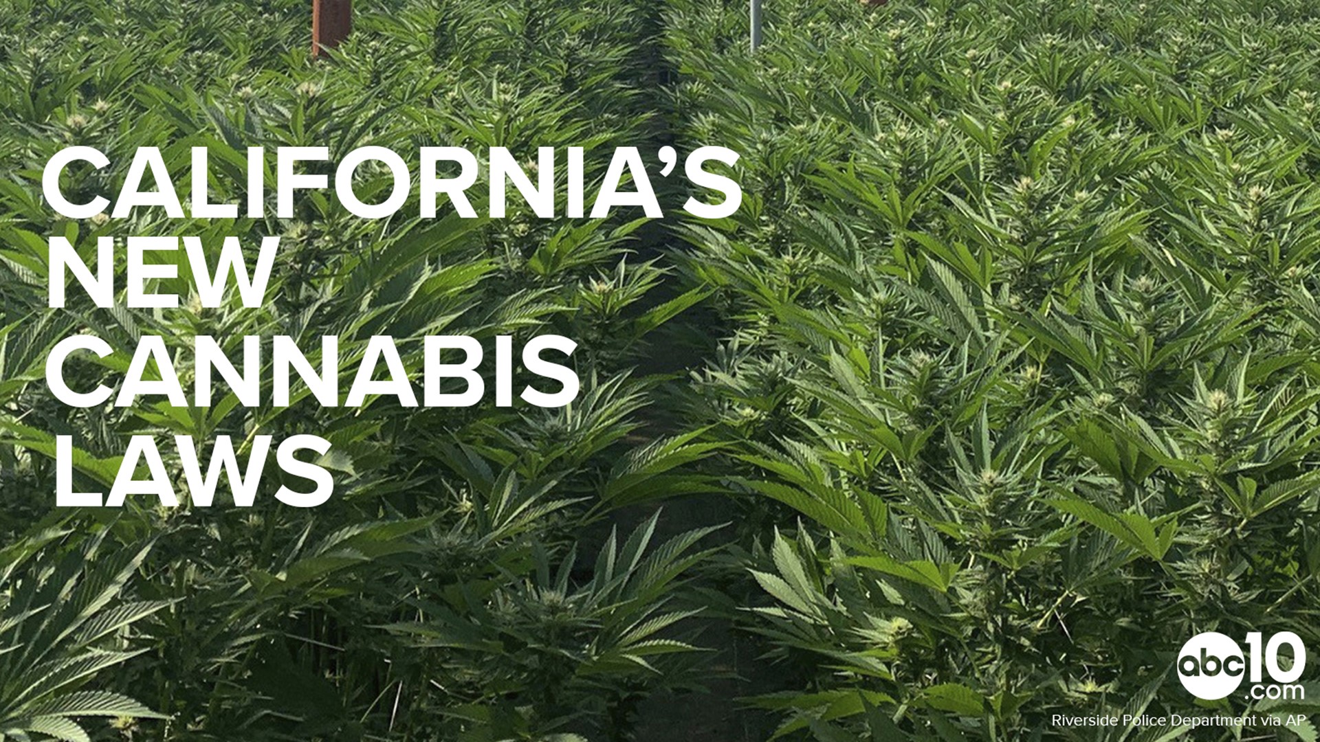 California passed two new laws that will affect the marijuana industry. Assembly Bill 1793 speeds up the process for people who may be eligible to have pot-related convictions dismissed. AB 3067 addresses the marketing of cannabis products to minors.