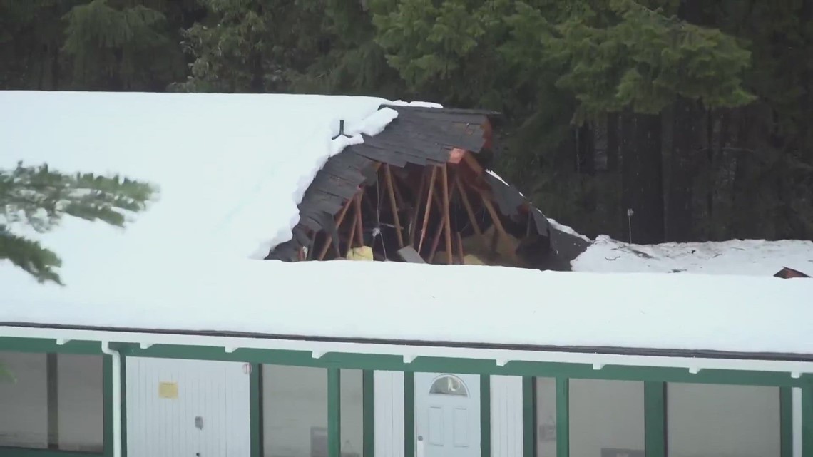 Ruth's Dolls & Memories may close after winter storm damages - Vimarsana News