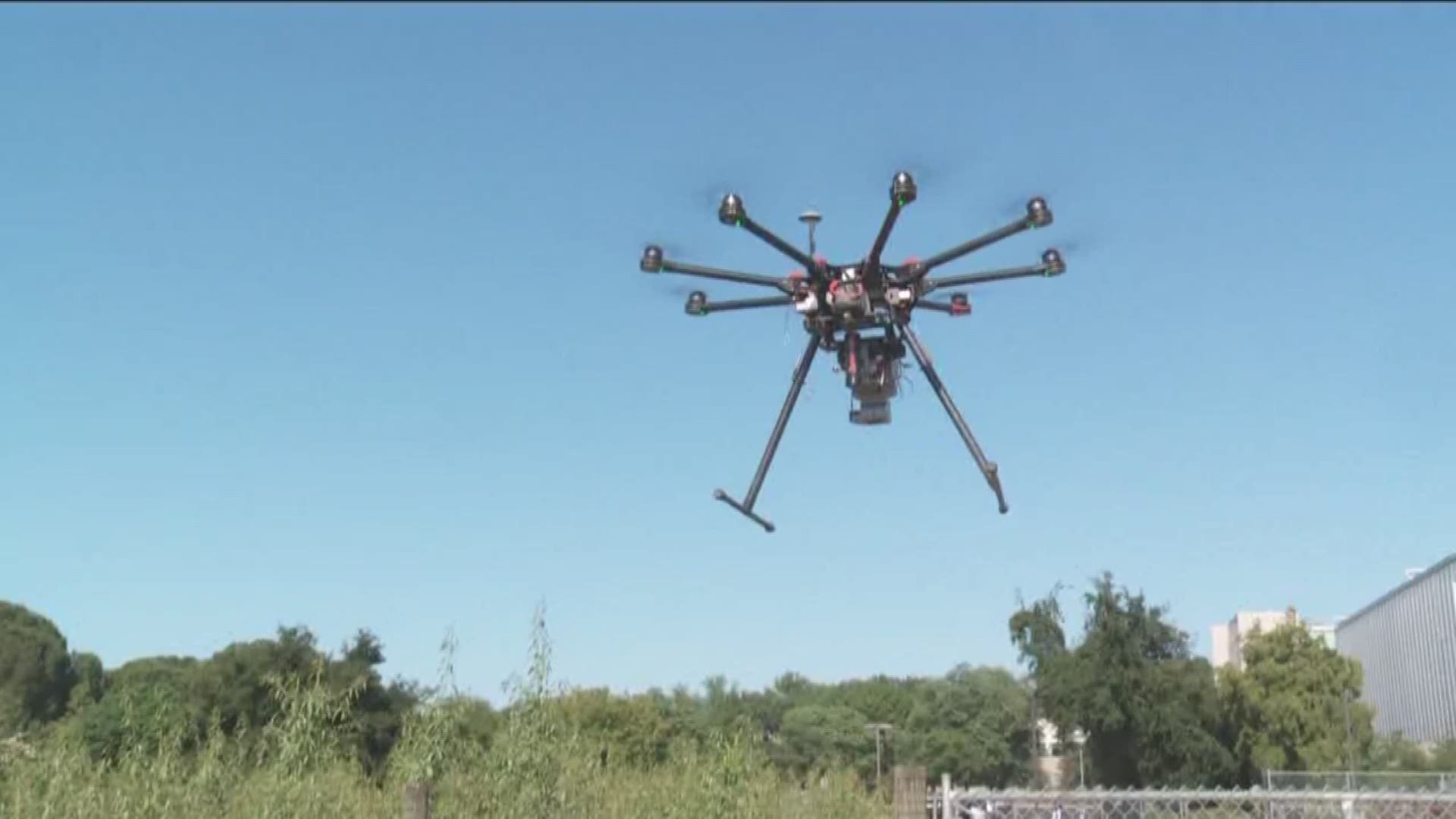 UC Davis researchers are using drones to fight spider mites in strawberry and almond fields. 