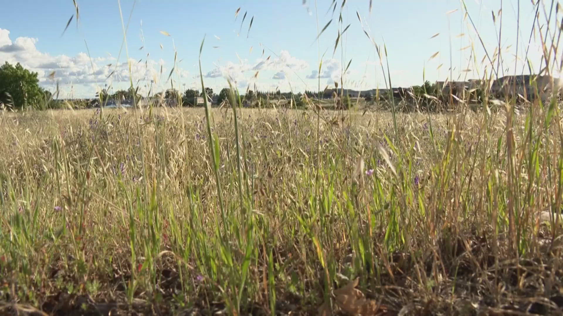 Parents concerned about new Rocklin affordable housing project | abc10.com