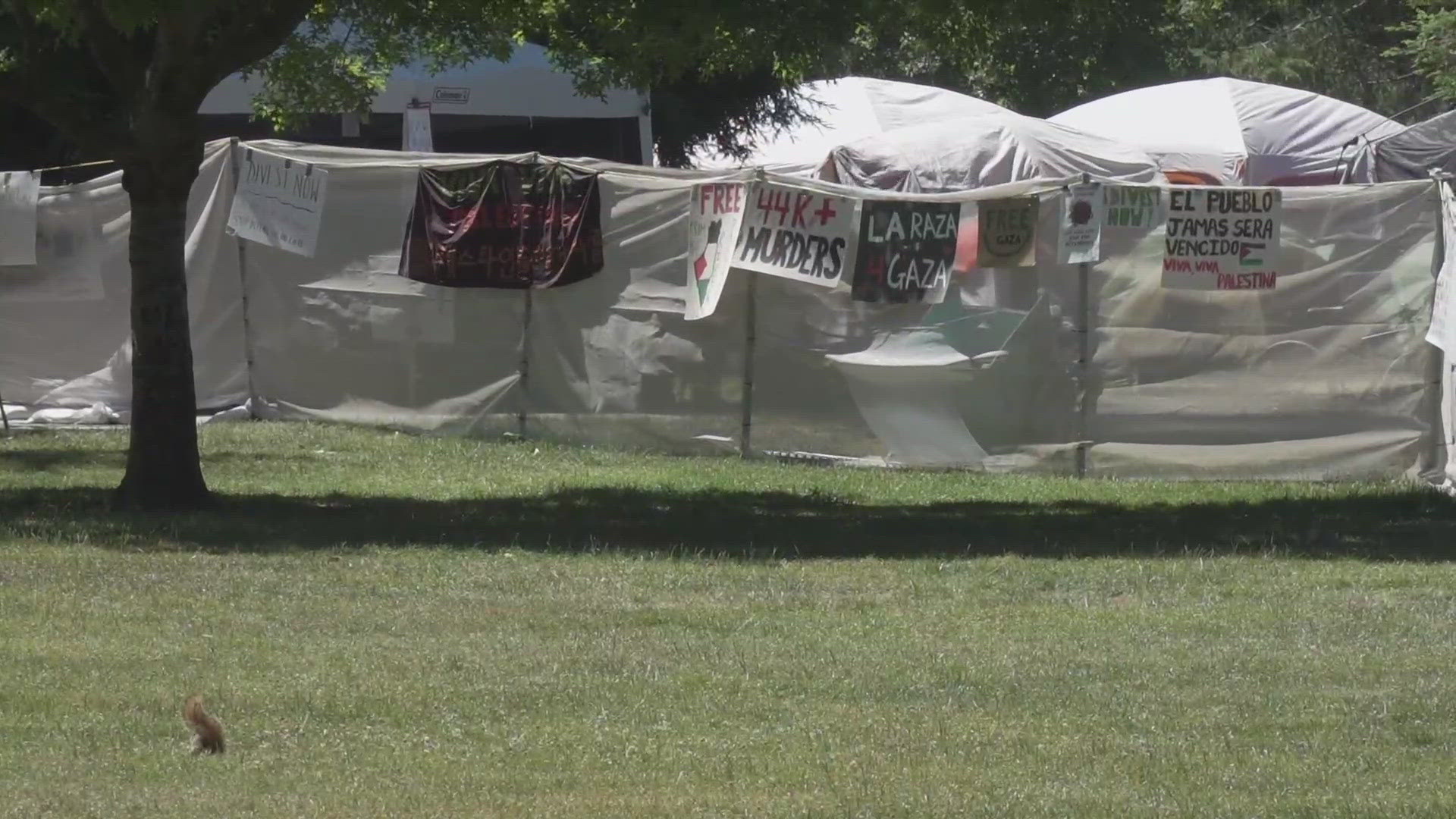 Some UC Davis academic workers to strike over treatment of pro-Palestinian  protests at UC campuses