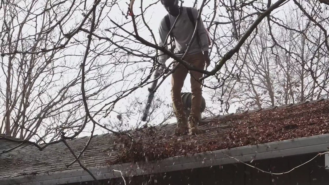 Nonprofit, landscaping company clean Elk Grove gutters for free