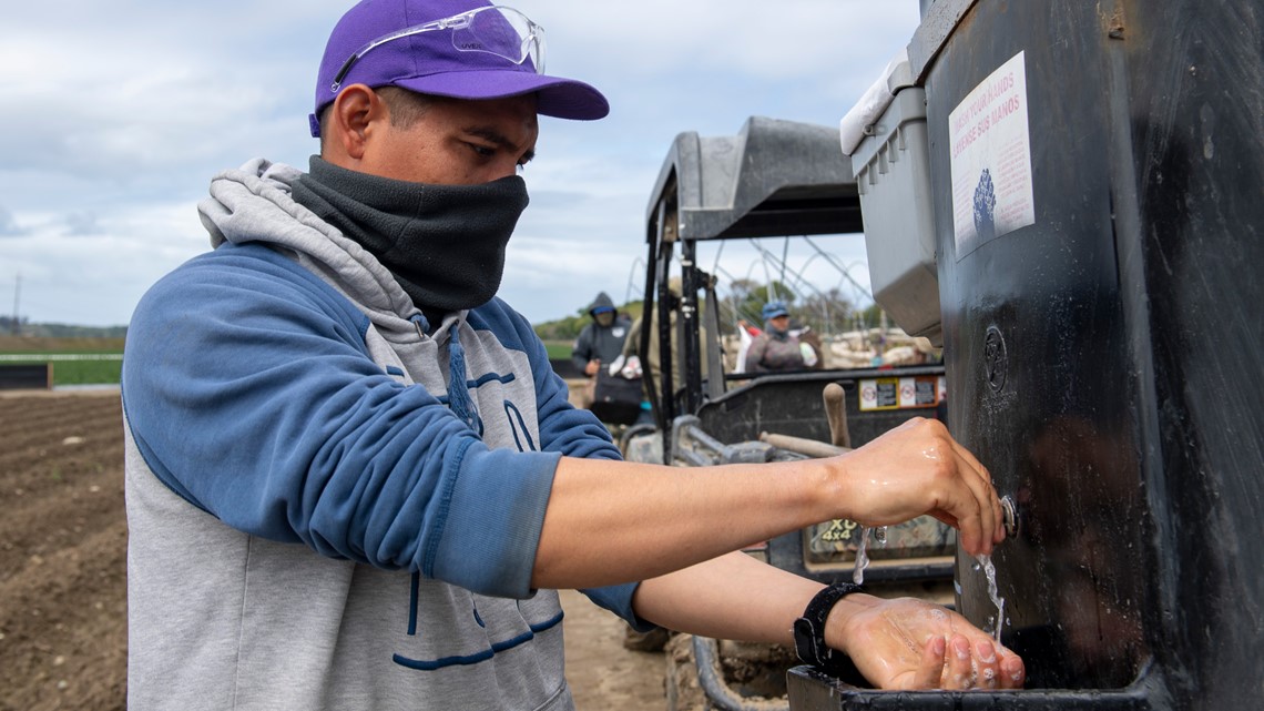 No face masks so California’s farmworkers are left unprotected