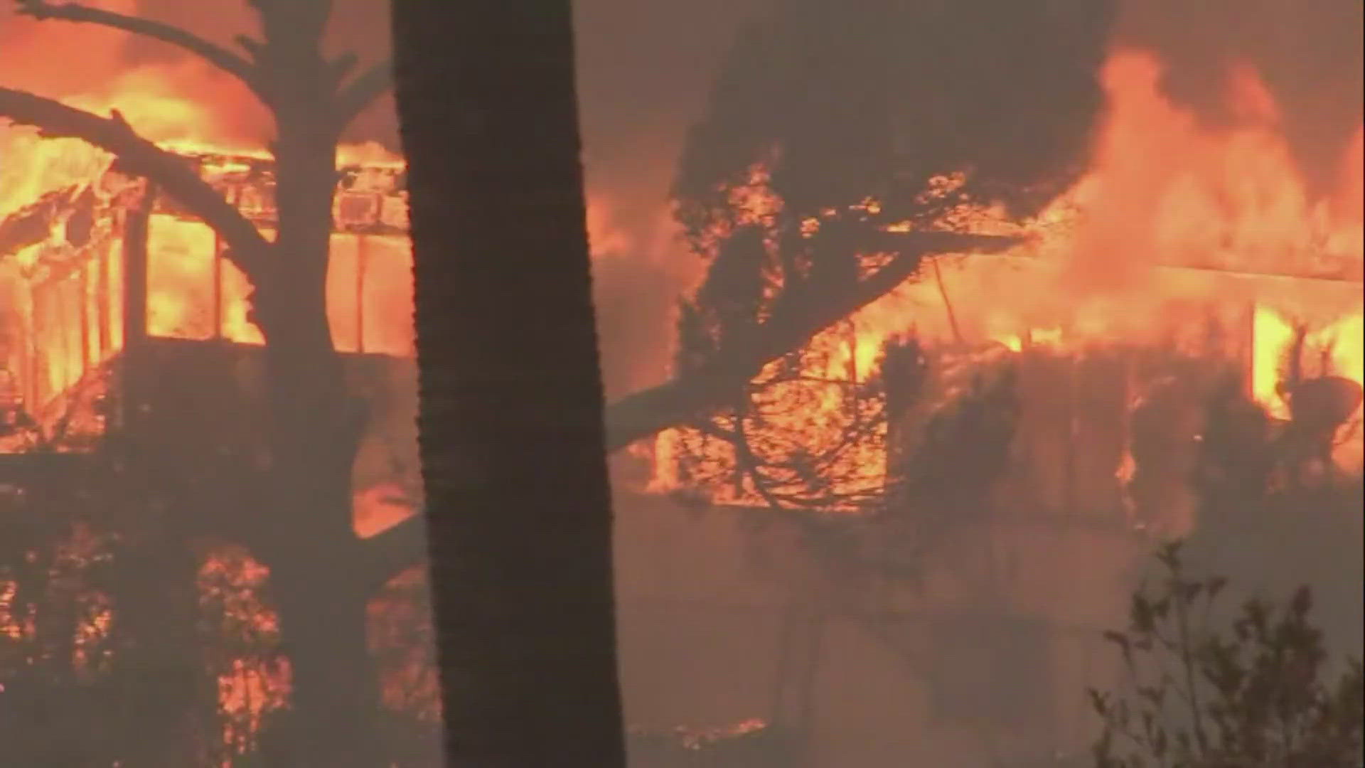 Gov. Newsom declares state of emergency due to Palisades Fire in Los  Angeles County