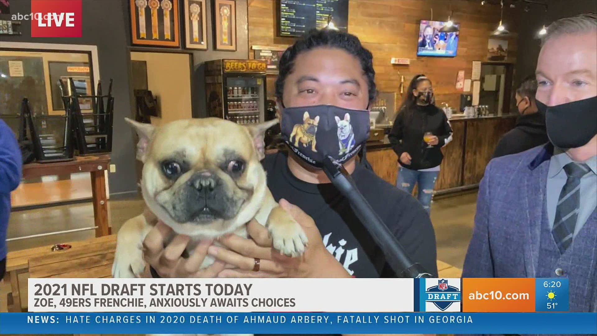 Check out this French Bulldog fashion show to calm your pre-NFL draft nerves.