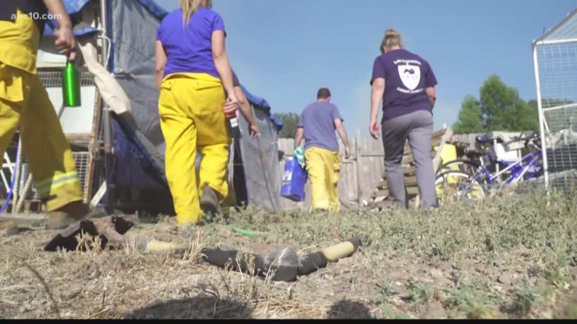 Volunteers and Lake County Animal Care & Control are helping animals left behind in the Pawnee Fire because of evacuations.