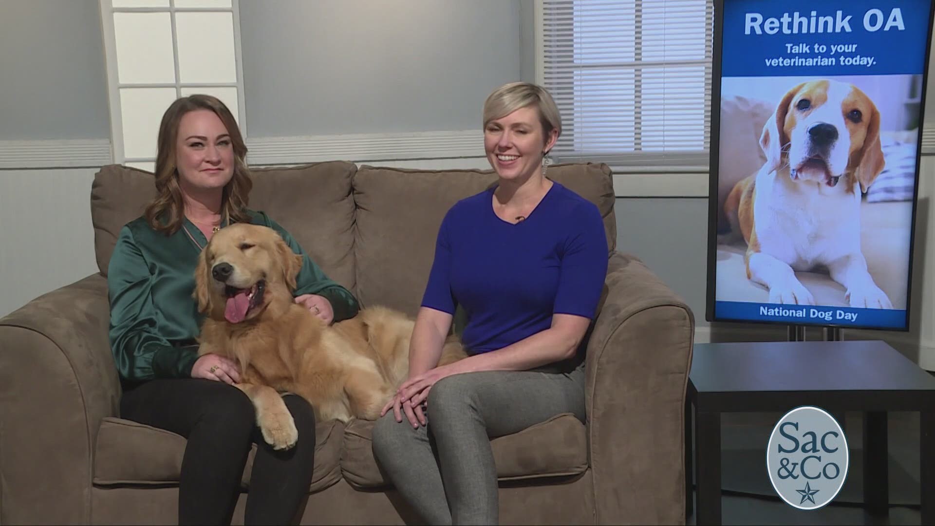 Canine osteoarthritis is the most common cause of chronic pain in dogs, and is estimated to affect approximately 20 percent of dogs over 1 year old. Small animal surgeon and rehabilitation specialist Kristin Kirby Shaw and territory manager for American Regent Animal Health, Meredith Kahn gave us some insight on how to better care for our four legged friends. The following is a paid segment sponsored by American Regent Animal Health.