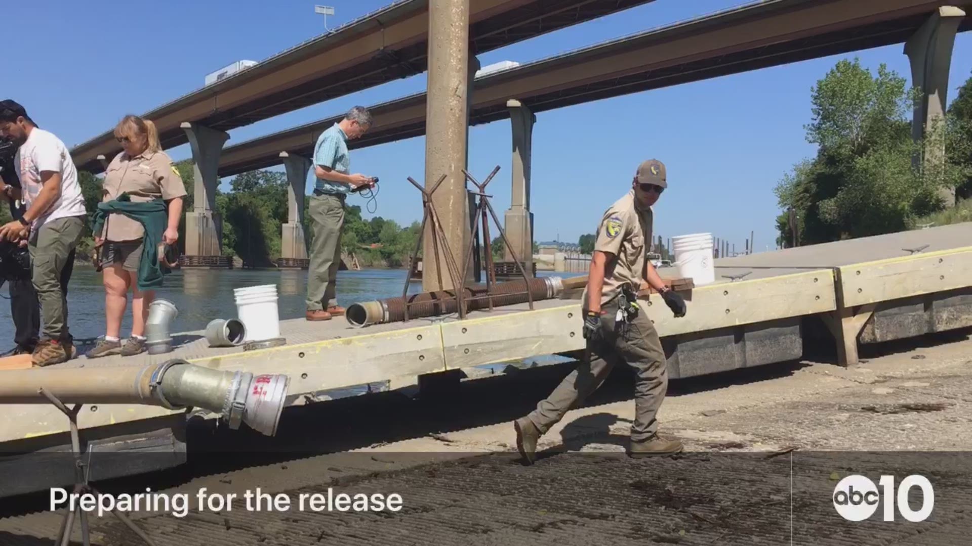 The California Department of Fish and Wildlife released 1 million chinook salmon smolts at Elkhorn boat launch.