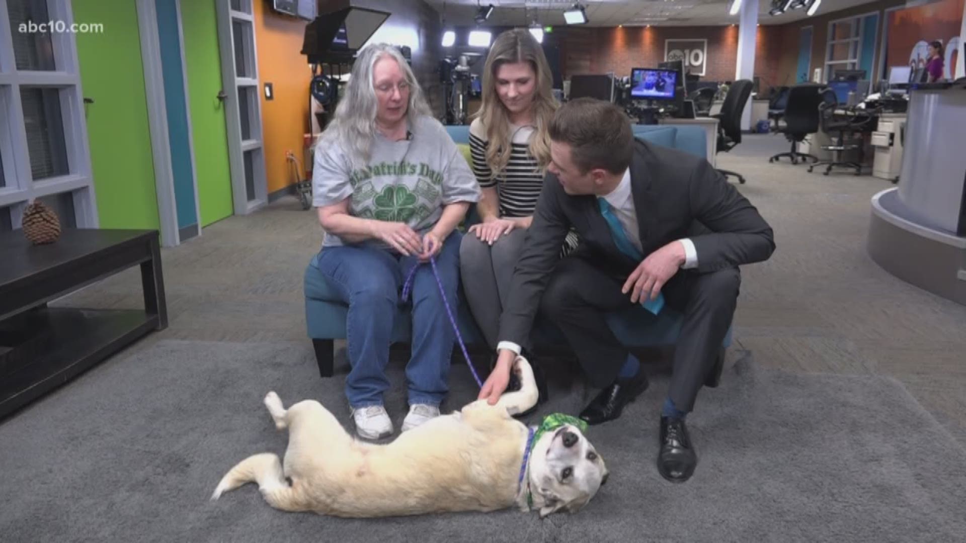 Kathy Meadows and Jenni Wahonick from the Stockton Animal Shelter introduce us to Victoria, who needs a new home!