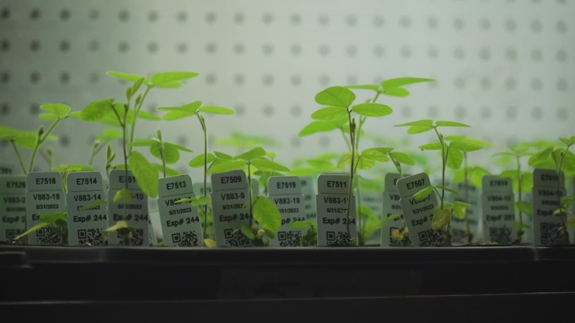 Evolution of Plant Addiction Sticker — The Plant Farm®