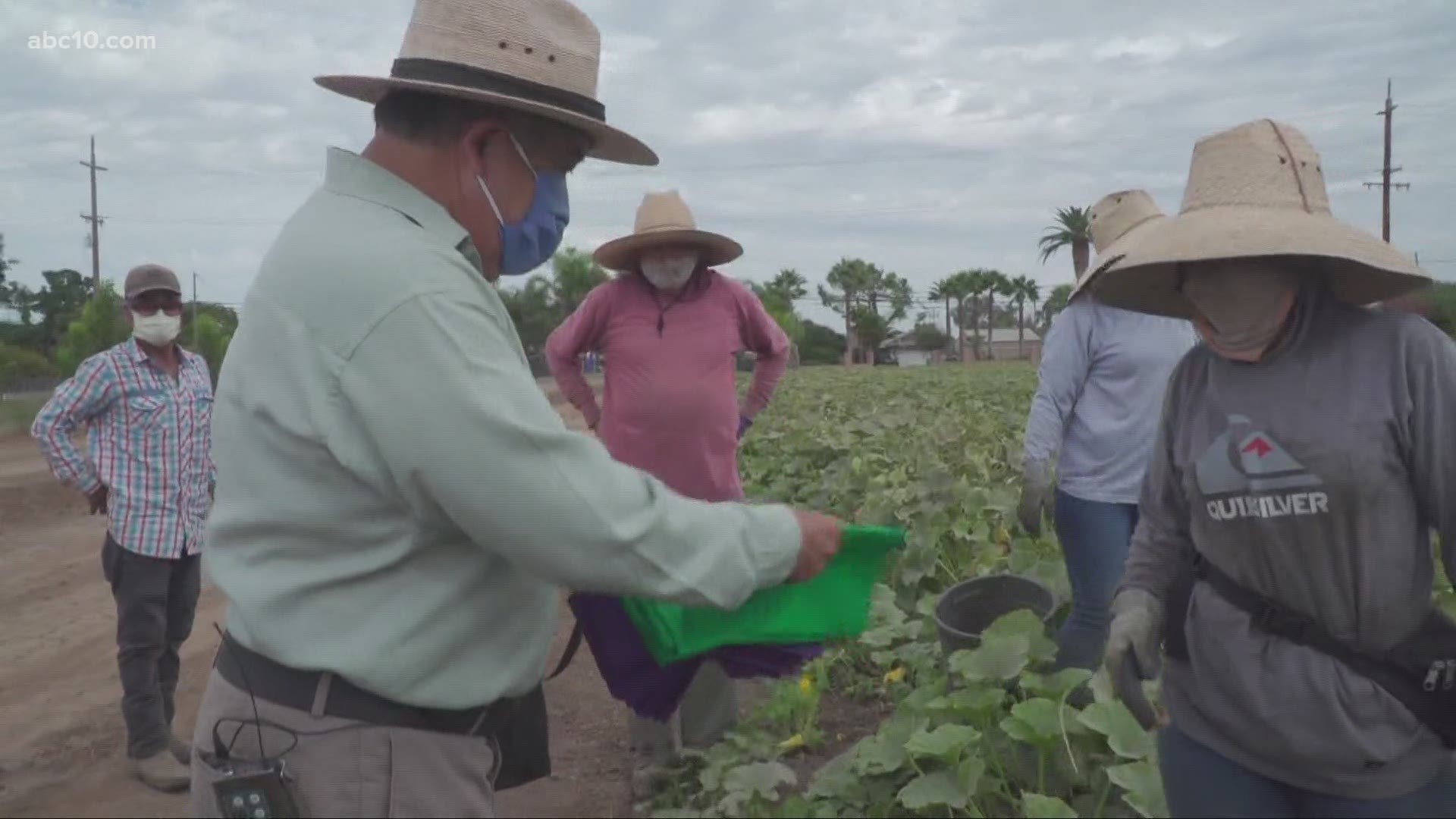 After witnessing what he called "injustices' of low wages amongst farmworkers, Luis Magana 
 advocated for tomato pickers.