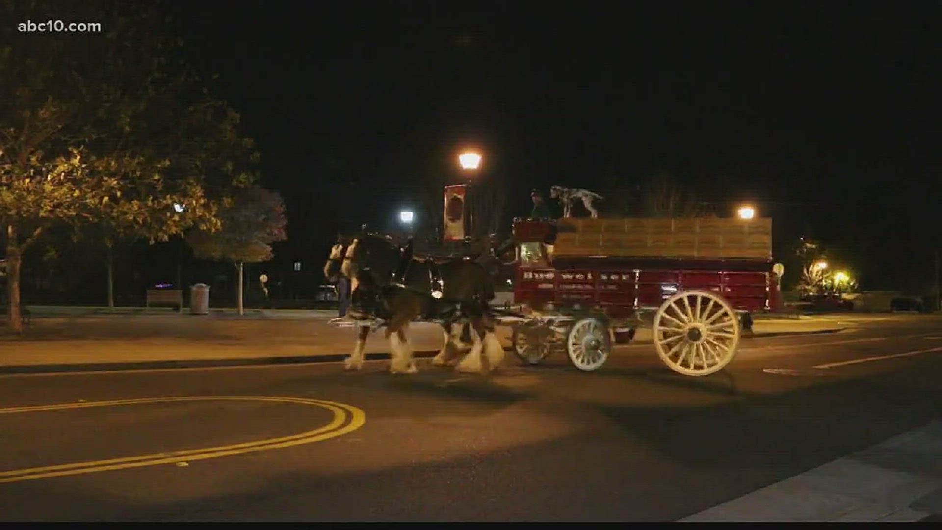 The Budweiser Clydesdales visited the Historic District of Folsom Monday evening. (Dec. 4, 2017)