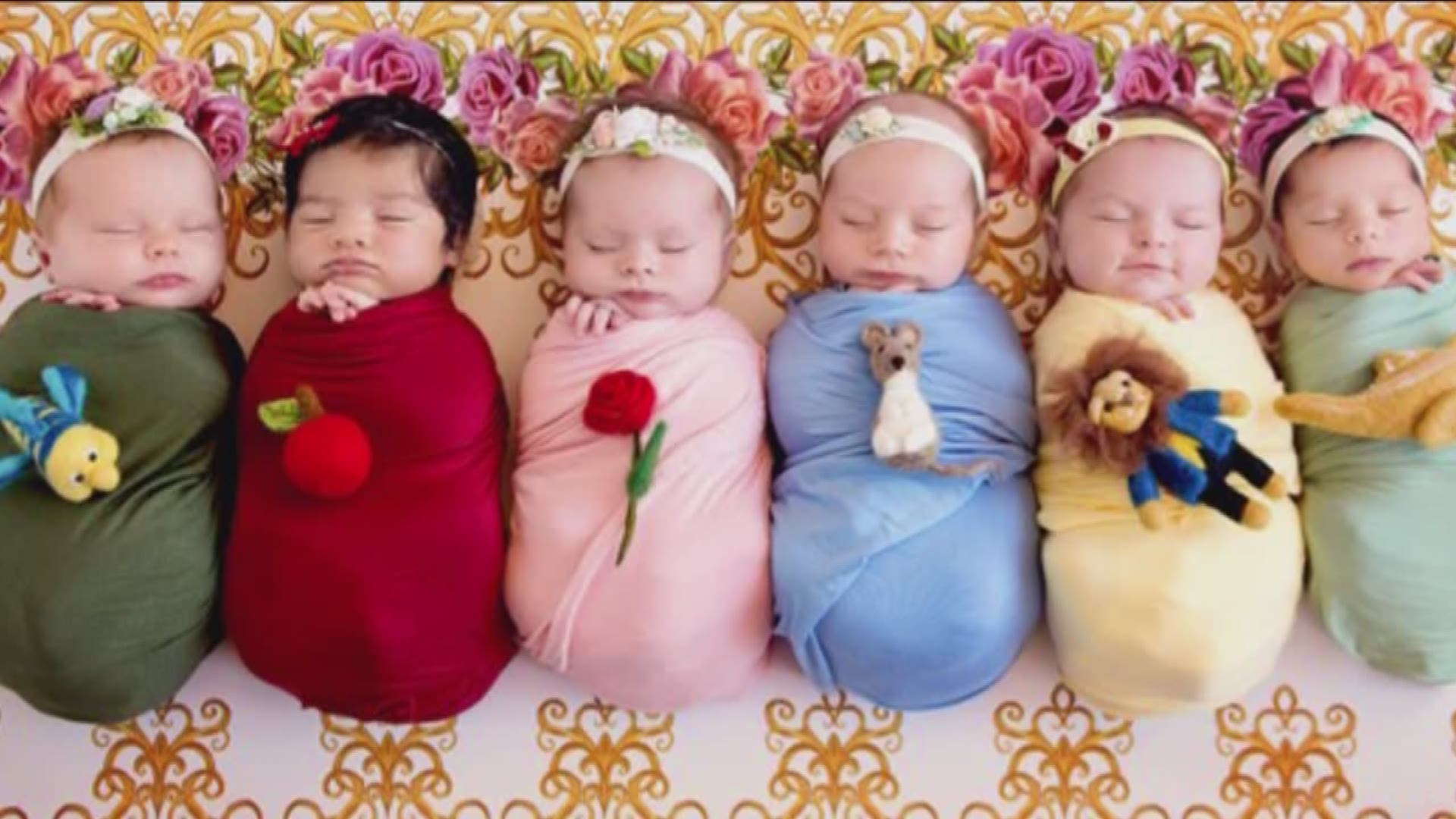 Belly Beautiful Portraits in Roseville is now getting international attention after almost 16 million people around the world have viewed newborns dressed as Disney princesses. (August 2, 2017)