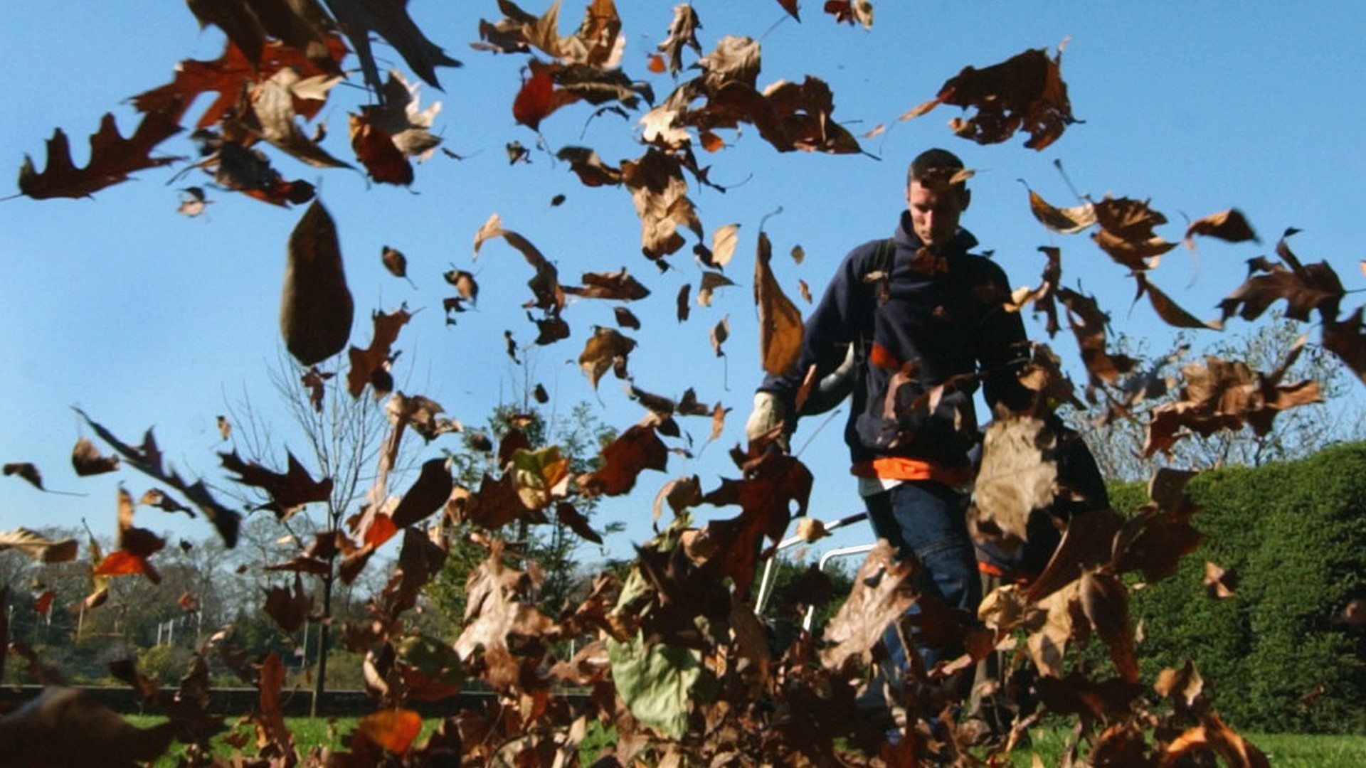 Leafblower ban in Davis passes unanimously