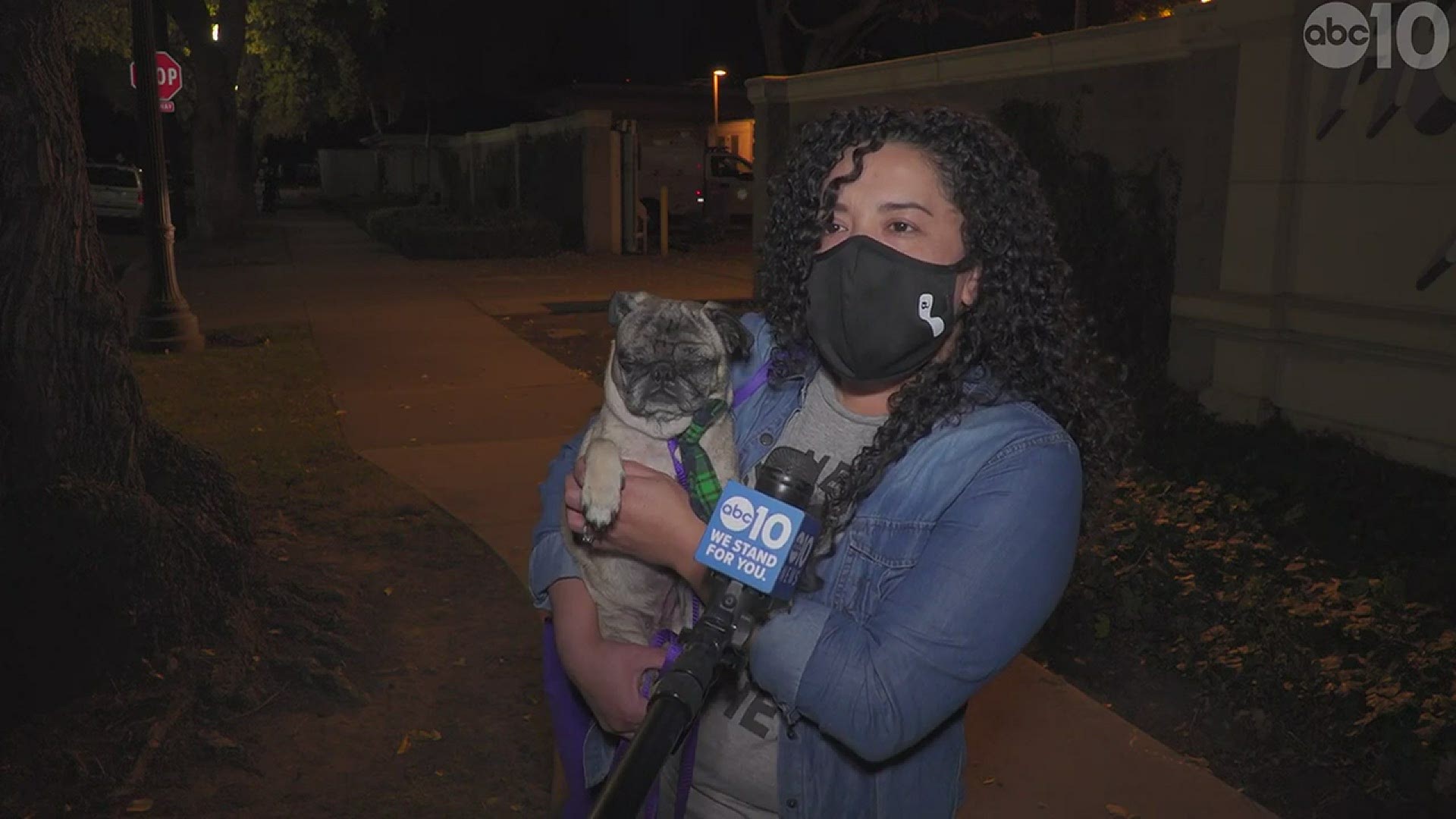The owner of the dog says she got a call about her pug when they checked his microchip. Now, a volunteer couple is driving 17 hours to reunite the dog and owner.