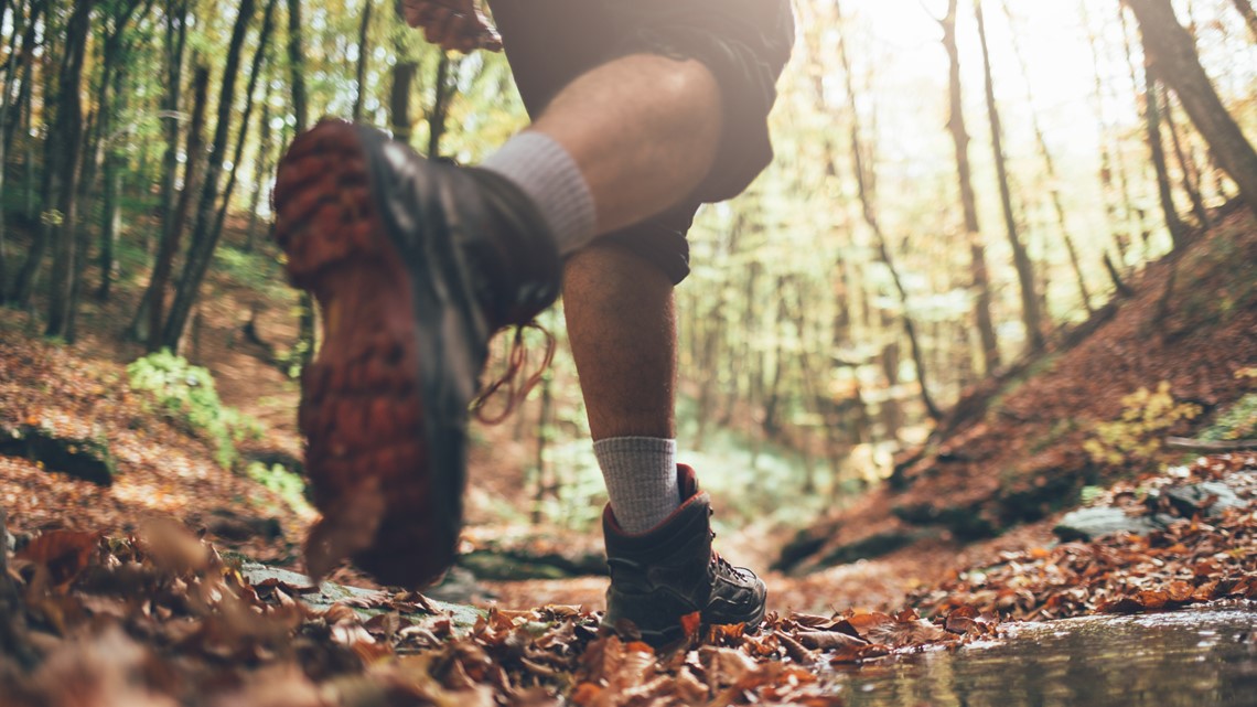 Things to do in the Sacramento region this weekend | Fall Edition - Vimarsana News