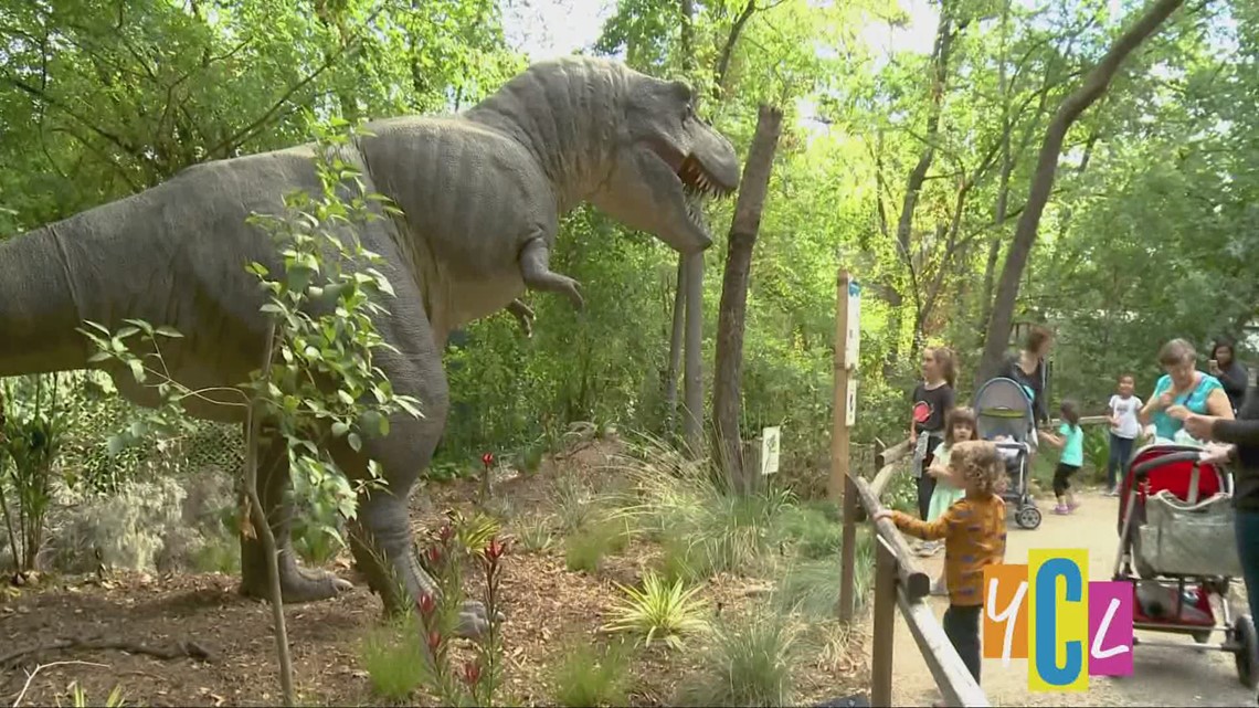 Sacramento Zoo’s Dino Exhibit Your California Playground