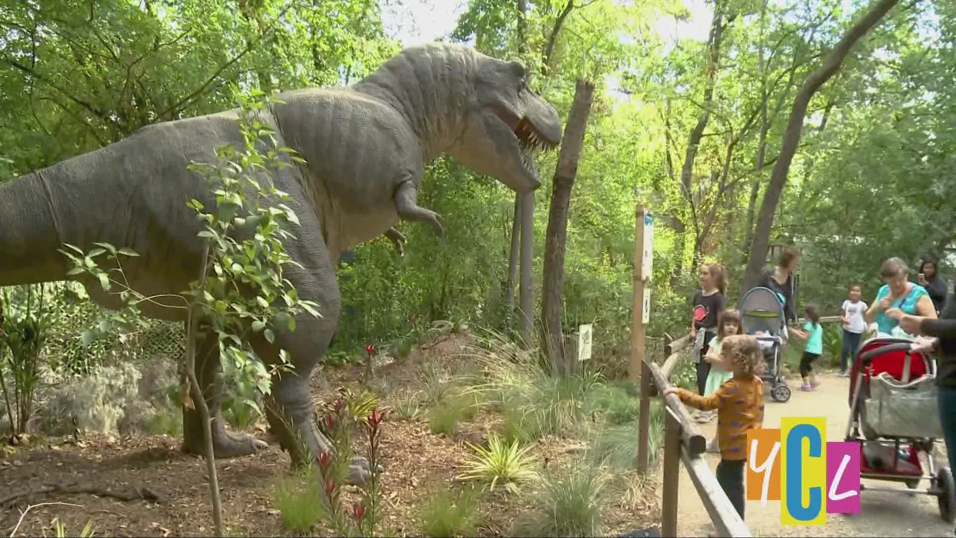 Sacramento Zoo S Dino Exhibit Your California Playground Abc10 Com