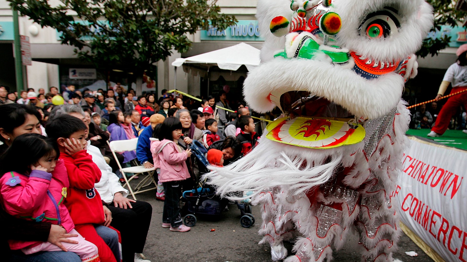 History of the Lion Dance Tradition | Race and Culture