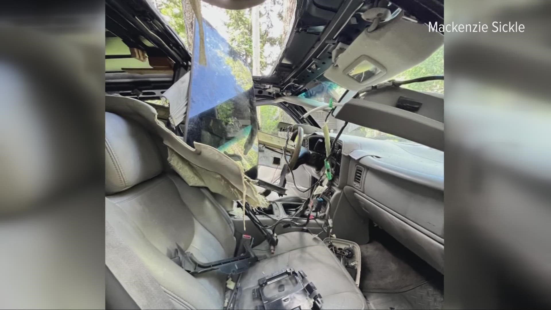 One family up in Lake Tahoe faced a bear attack, not on them, but on their Sierra truck. The car's interior was all tore up, and the family has the footage.