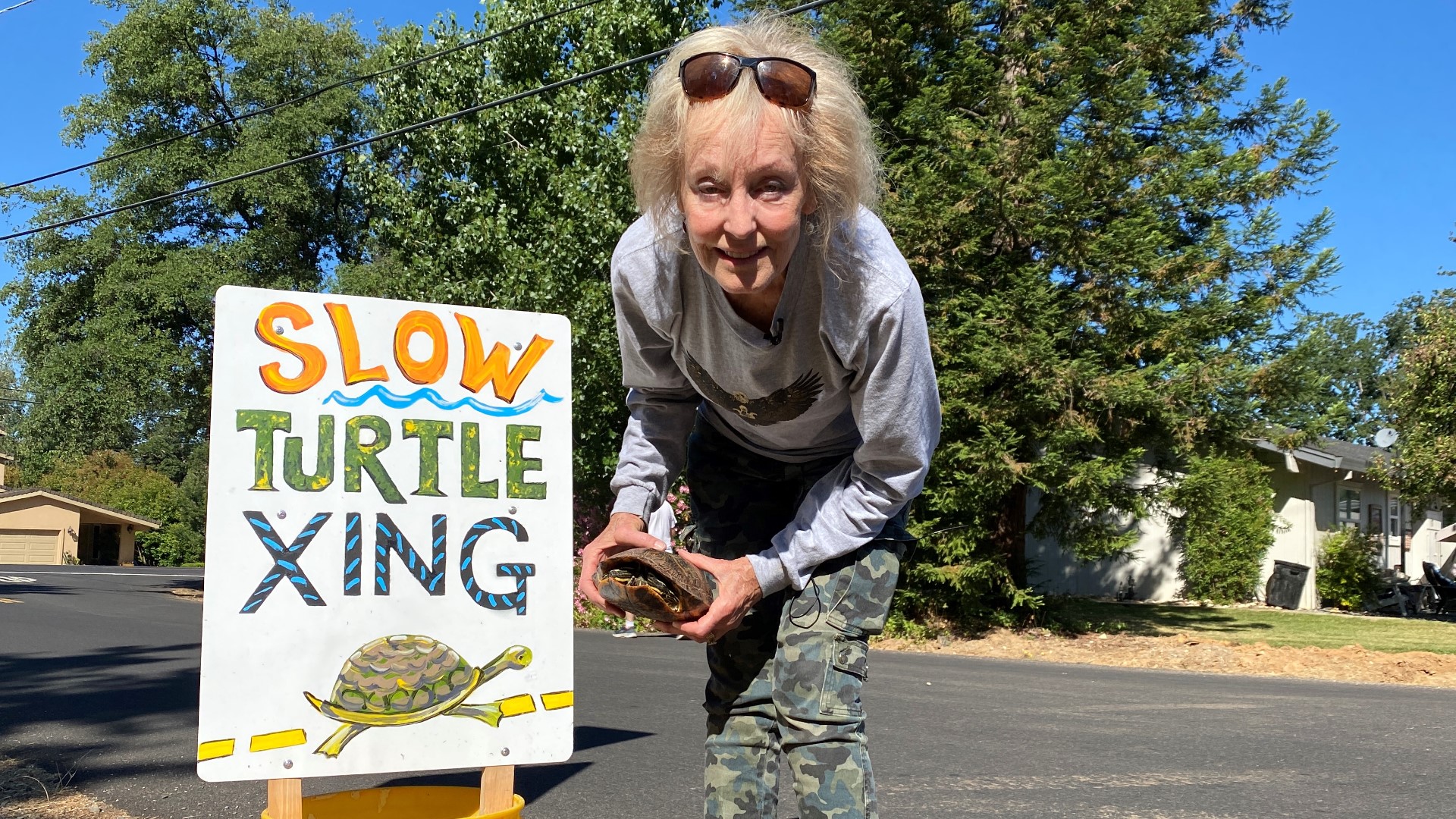 Ruby says people built homes in the turtles' habitat so the least she can do is help them cross the many streets to their nesting spot.