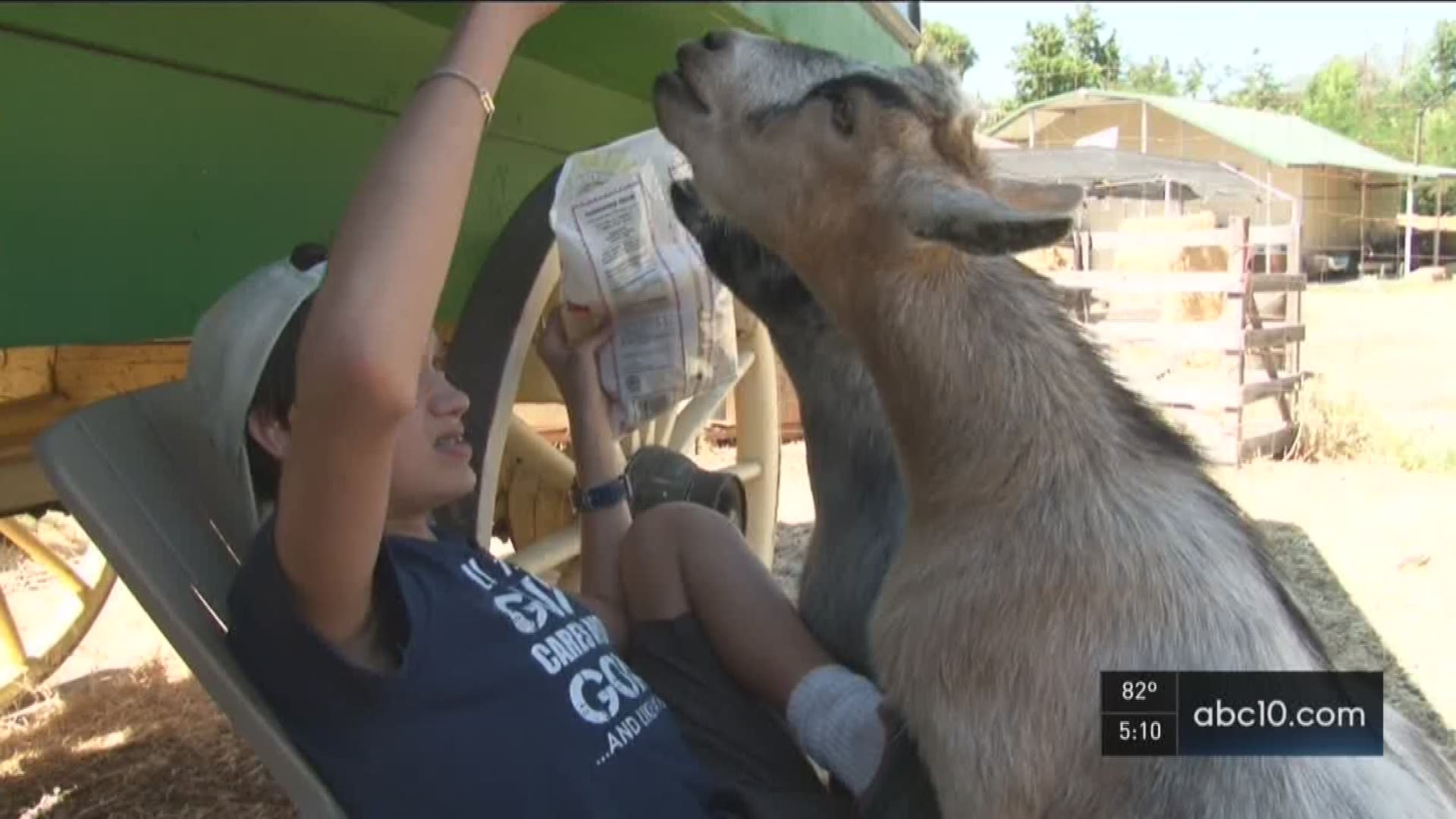 An autistic boy in Folsom is learning how to talk, care and love through his two pet Pygmy goats. July 7, 2016