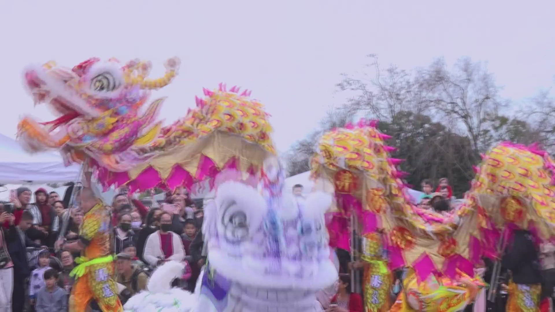 The Lunar New Year officially begins Feb. 10 and this year is the year of the dragon.