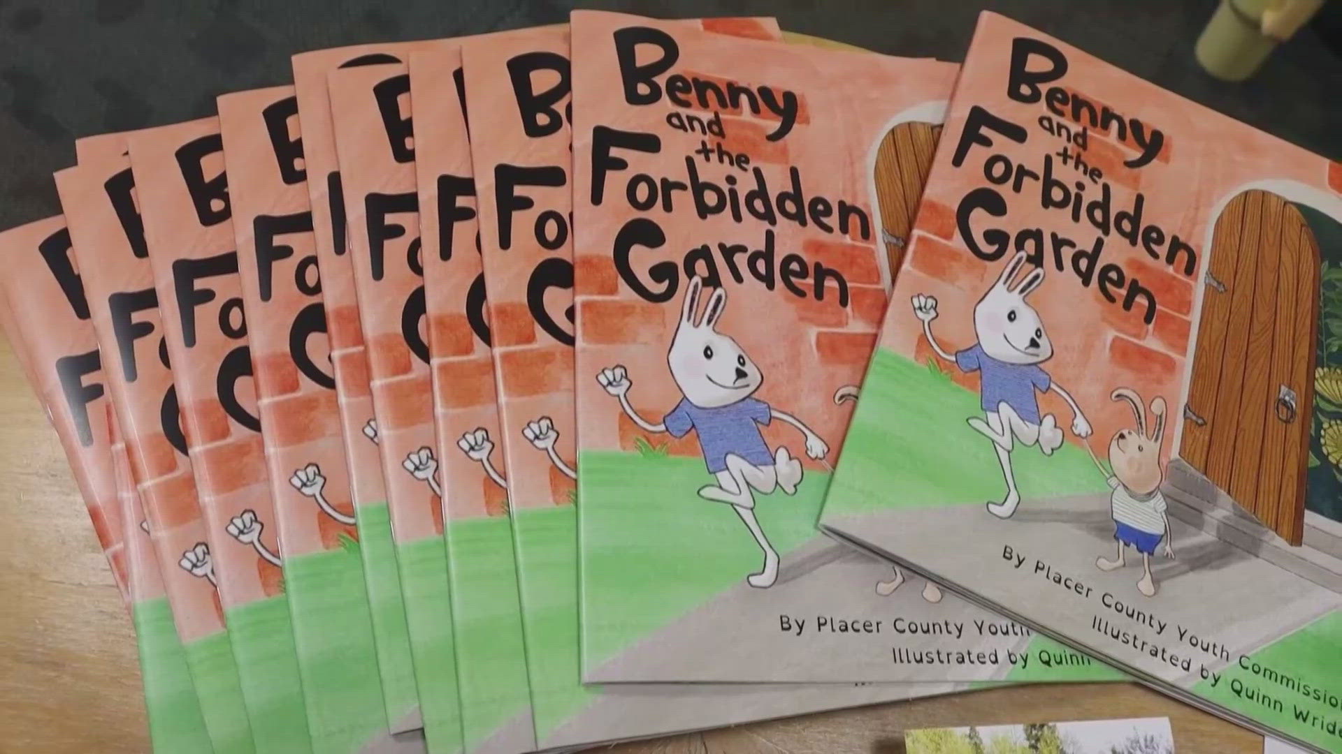 abc10.com - KXTV Staff - Placer County teens publish children's book to tackle early substance use