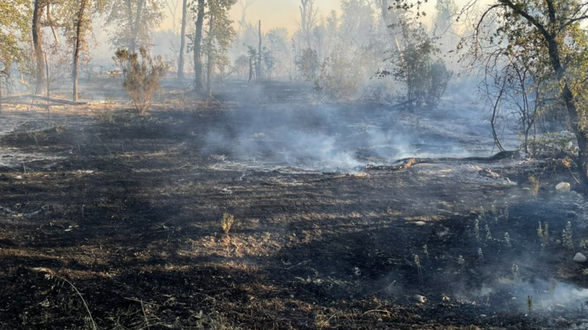 Butte County Fire Department officials said that forward has been stopped but didn't say when it is expected for the flames to be put out.