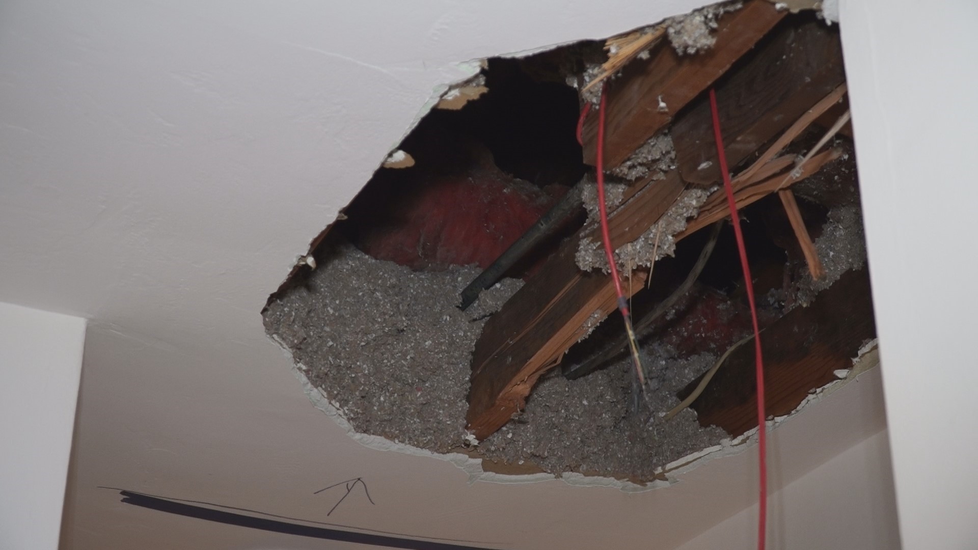 A Sacramento family has holes in their ceiling along with insulation and glass on the floor after a tree fell onto their roof.