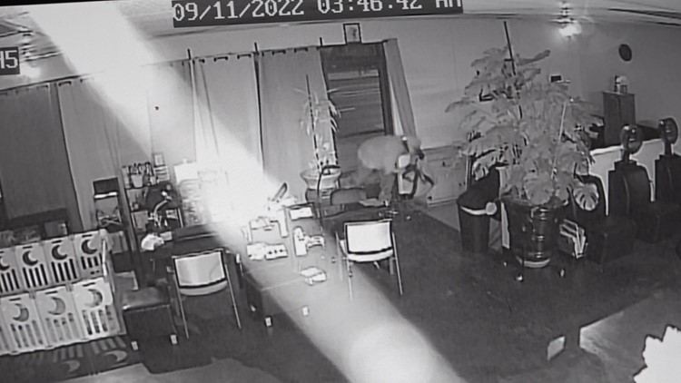 'We work really hard for our money' | Modesto salon burglarized thousands of dollars in beauty products