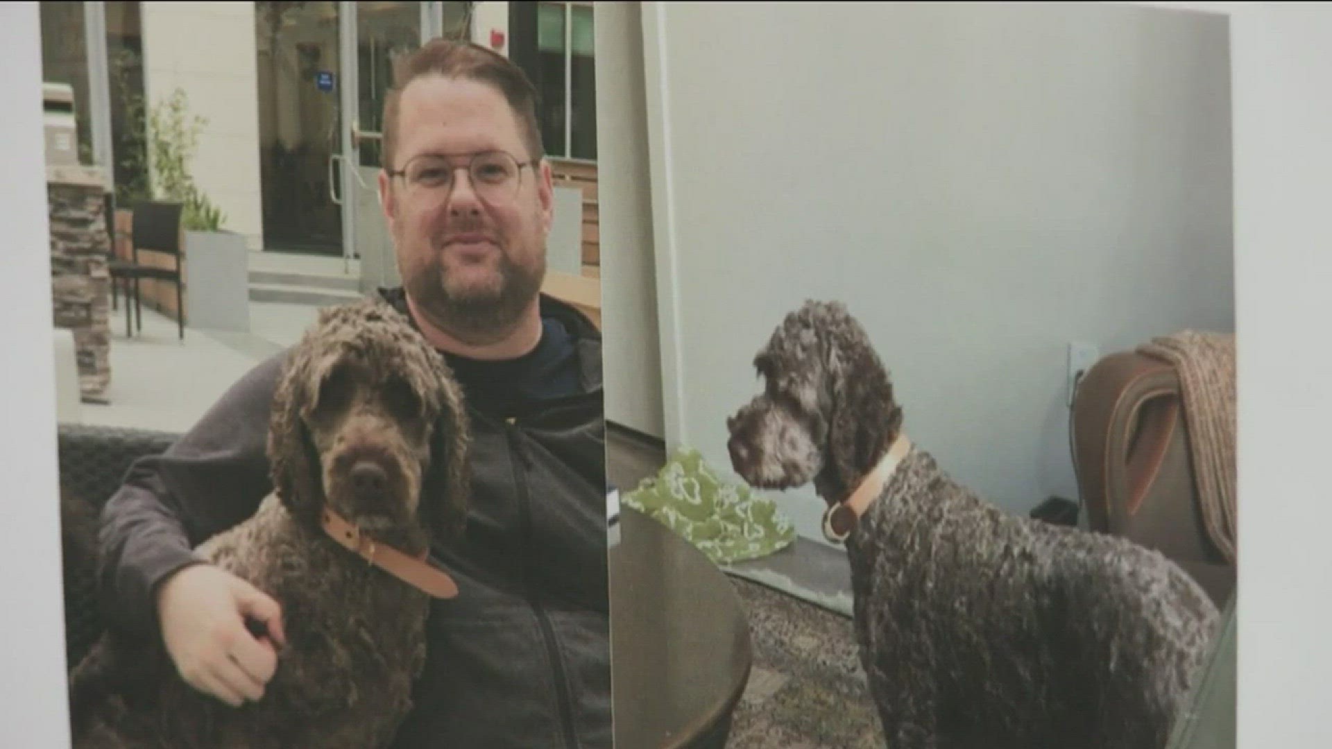 Sacramento man is looking for missing emotional support dog 