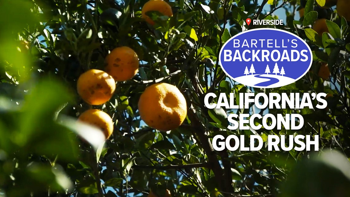 Citrus: California’s second gold rush | A Bartell's Backroads Pit Stop