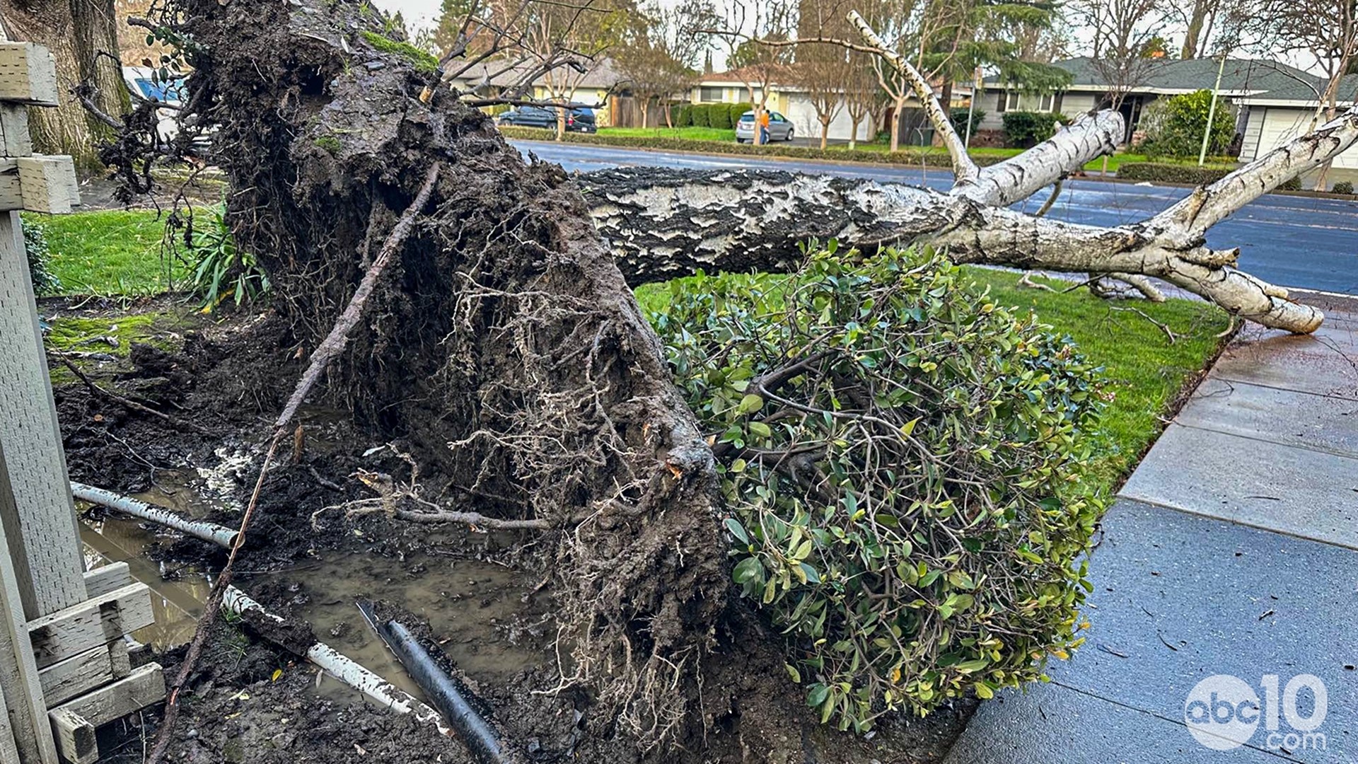 PG&E Claims Does PG&E reimburse for spoiled food?