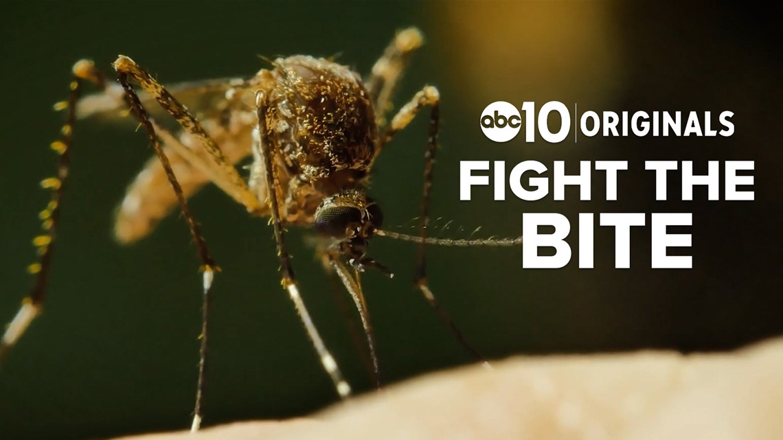 West Nile virus is in the Sacramento Valley: Fighting the bite - Vimarsana News