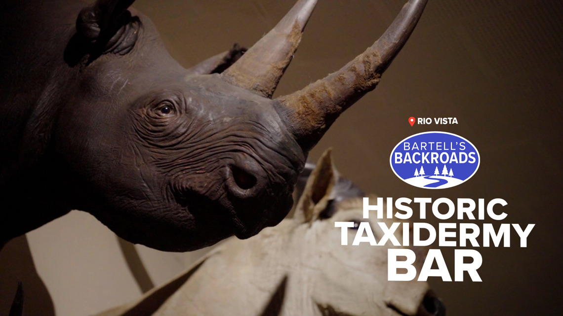 From moonshine to mounts: The strange history behind Foster’s Bighorn in Rio Vista | Bartell's Backroads