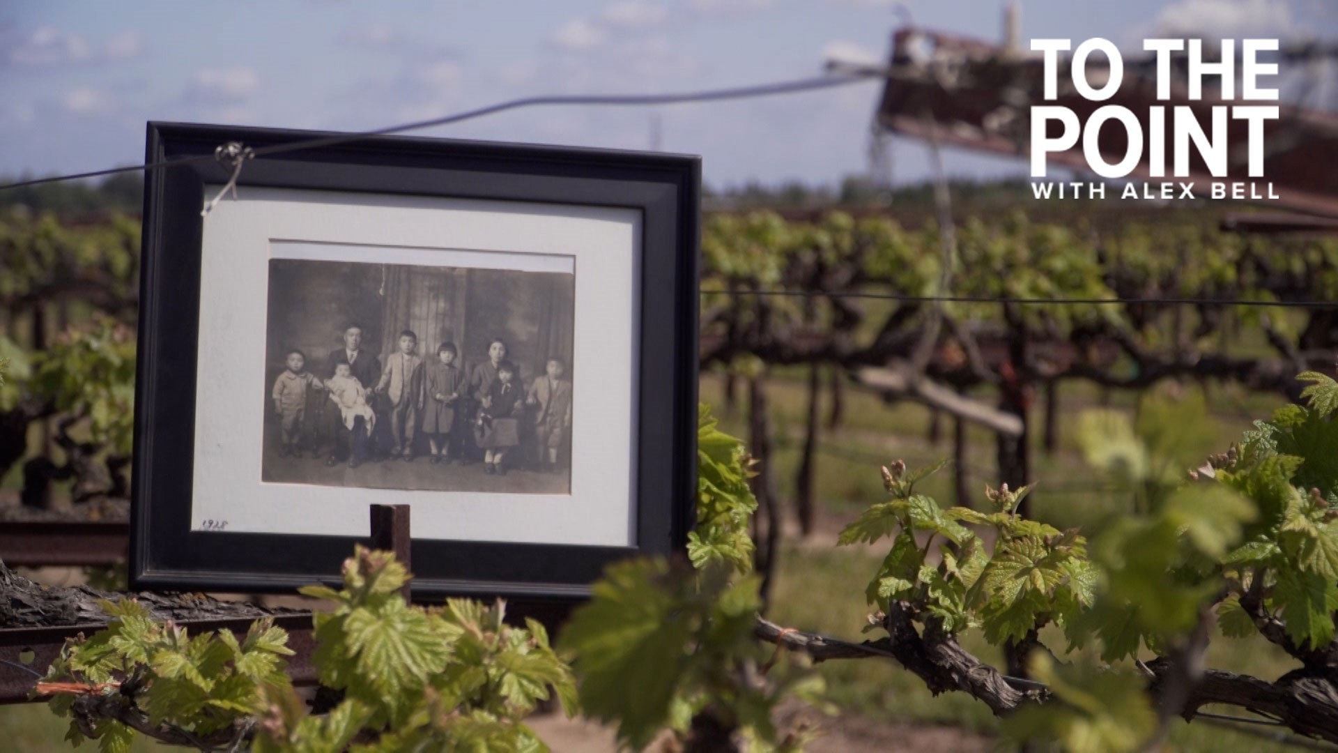 The history of Mikami Vineyards in Lodi | To The Point