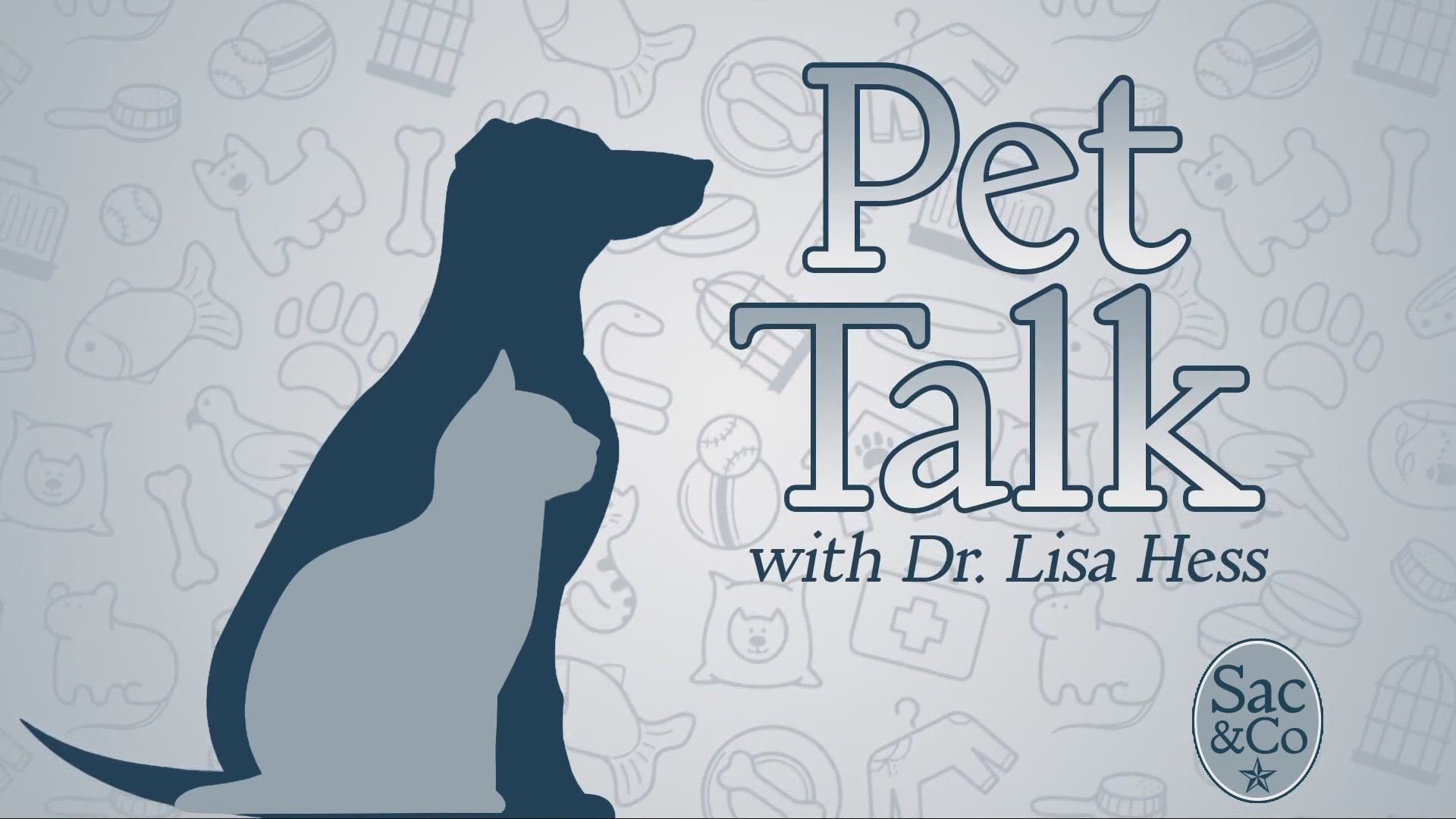 Tracy Sellers chats with Dr. Lisa Hess about how we can keep our fur babies safe!