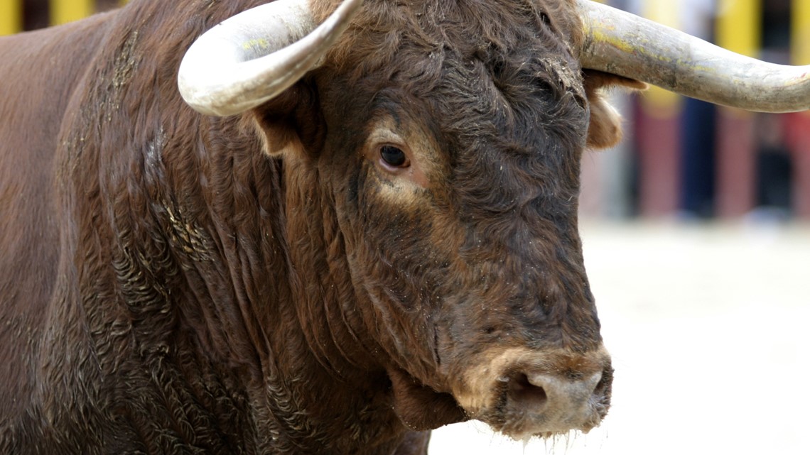 6 hurt when bull escapes Redding rodeo arena