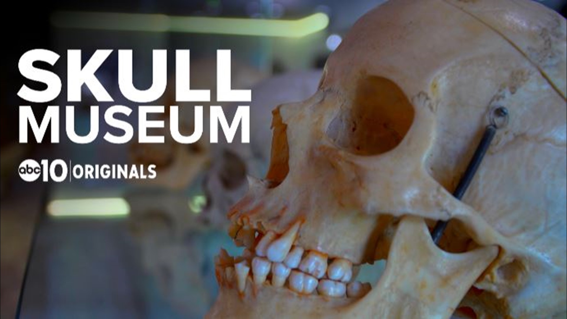 The Skull Museum is a tattoo parlor dedicated to skulls in midtown Sacramento. (April 10, 2018)