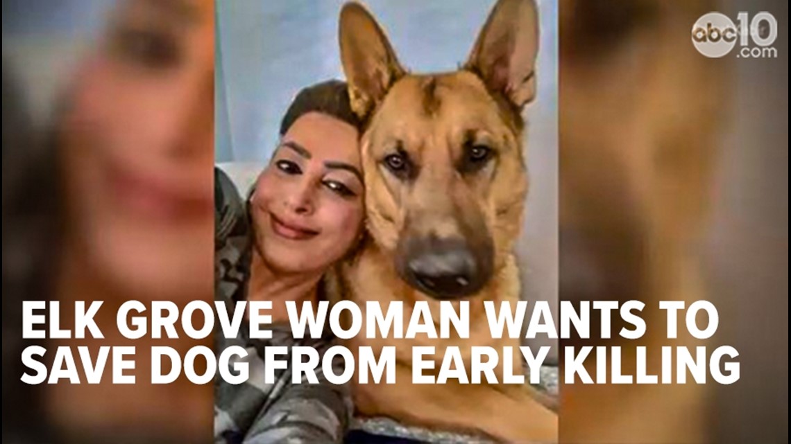 Elk Grove woman fights to keep German Shepard from early grave | abc10.com