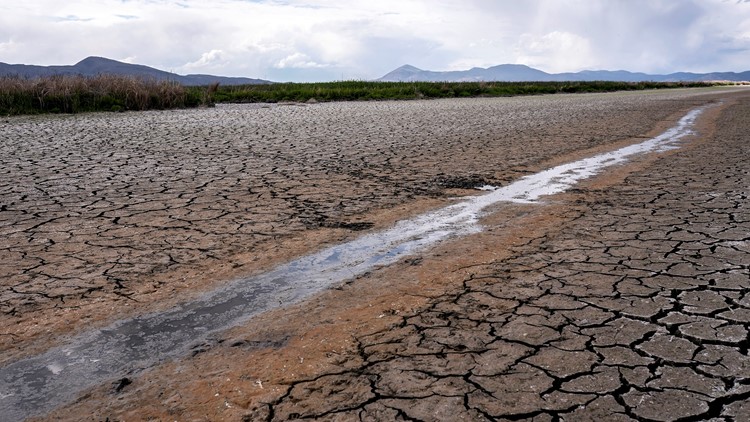 5 impacts from California's growing multi-year drought