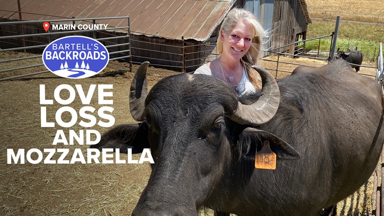 Love, loss and mozzarella: Saving her buffalo dairy | Bartell's Backroads