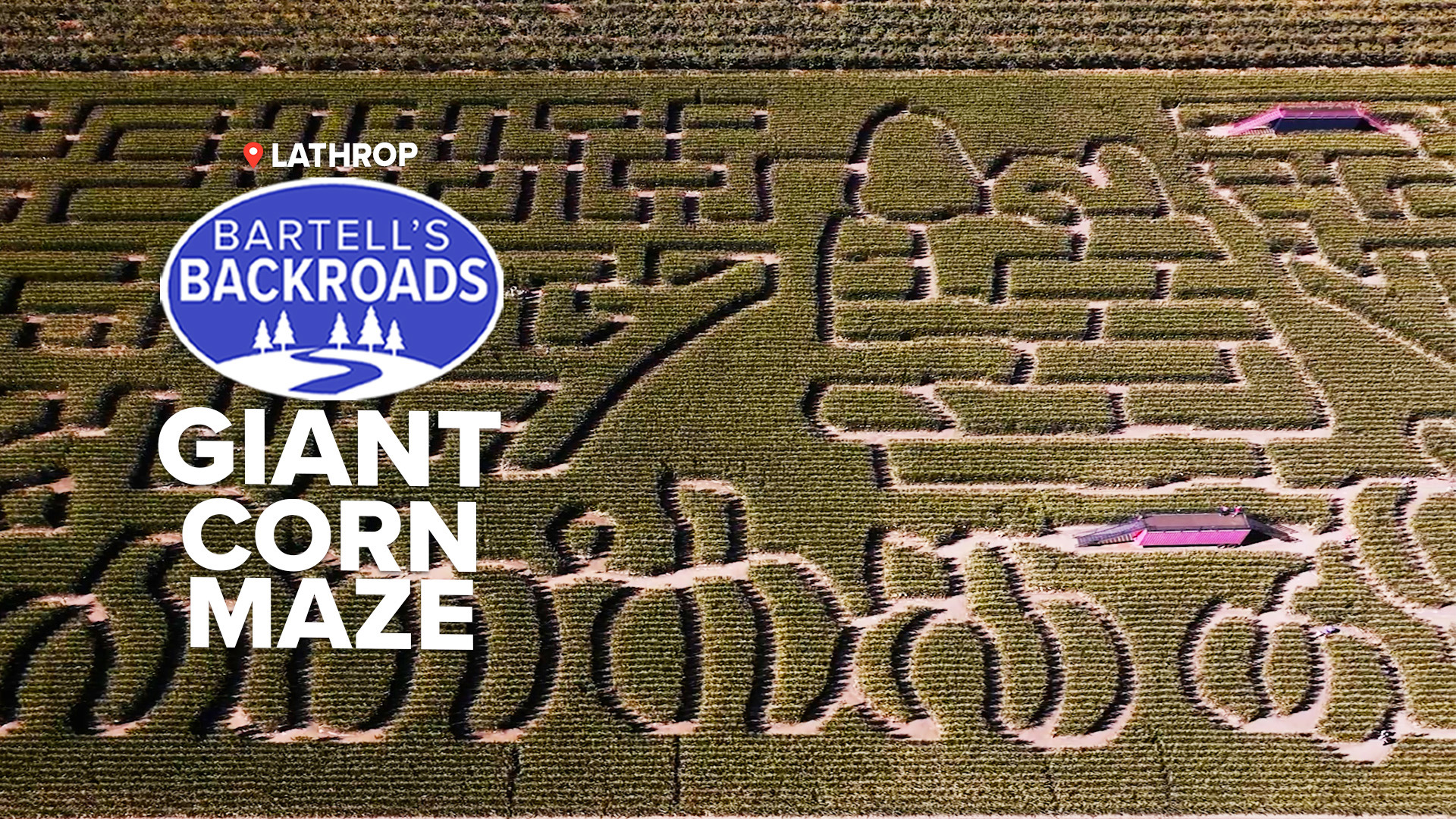 Dell'Osso Family Farm has a long history of making mazes.